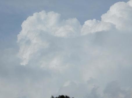 【空の写真】夏空 【空の写真】夏空の写真