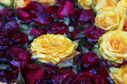 バラの花手水 バラの花手水の写真