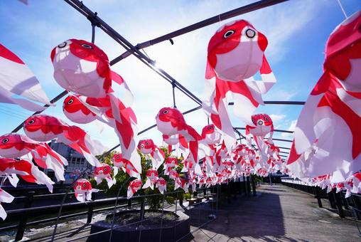 金魚ちょうちん祭り 金魚ちょうちん祭りの写真