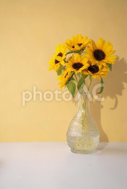 夏を彩る鮮やかなヒマワリの花束 ひまわり,ヒマワリ,向日葵の写真素材