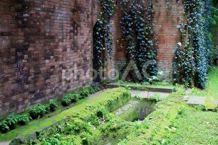猿島　厠跡 猿島,厠,厠跡の写真素材