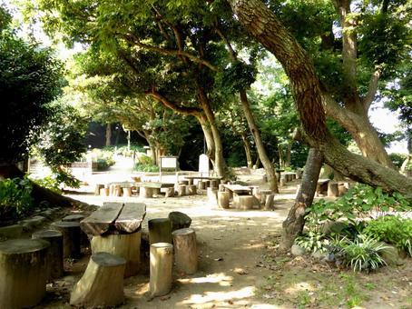 鎌倉市・源氏山の休憩場所 鎌倉市・源氏山の休憩場所 広場,林,森の写真素材