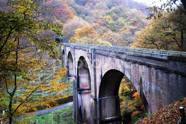 安中市碓氷峠めがね橋の紅葉 安中市,碓氷峠,アプトの道の写真素材