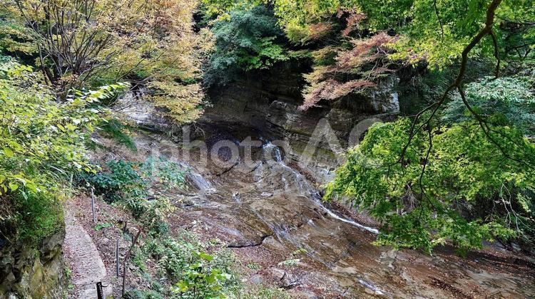 千葉県大多喜町養老渓谷　紅葉の粟又の滝 紅葉,粟又の滝,養老渓谷の写真素材