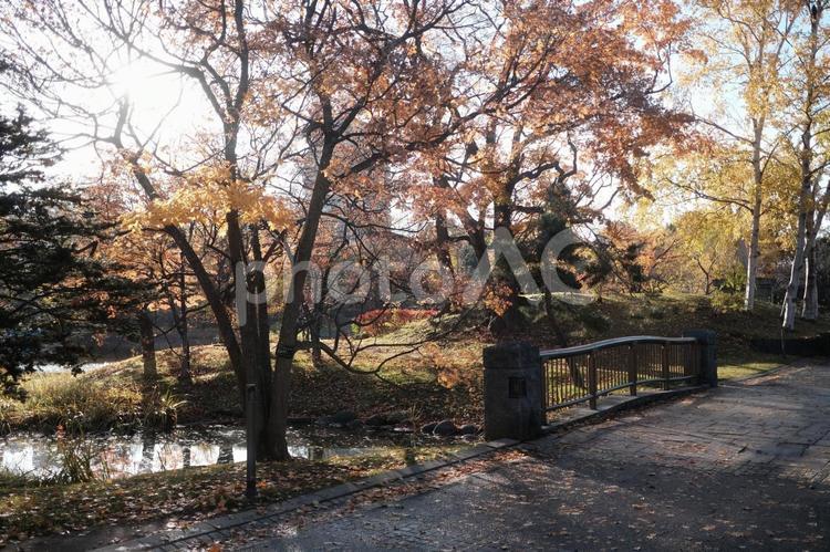 朝の公園　秋のイメージ　札幌 公園,札幌,北海道の写真素材