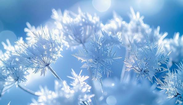 きらめく雪の結晶群 きらめく雪の結晶群の写真