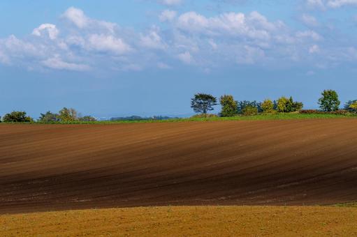 大地に刻まれた秋の畑のグラデーションの写真