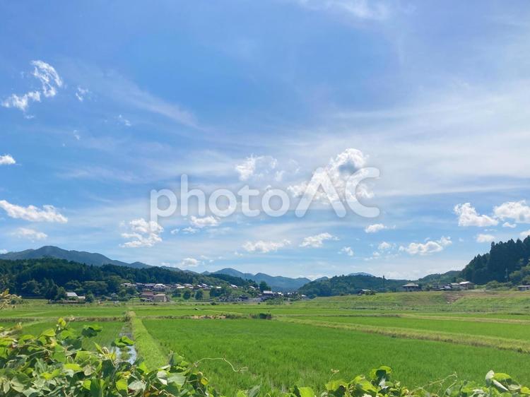 田園の緑と青空が綺麗な風景画 風景,青空,雲の写真素材