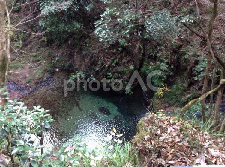 美しく透き通る水場 透明,川,山奥の写真素材