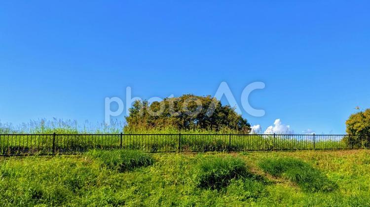 秋空と樹木 秋空,ブルースカイ,秋の写真素材