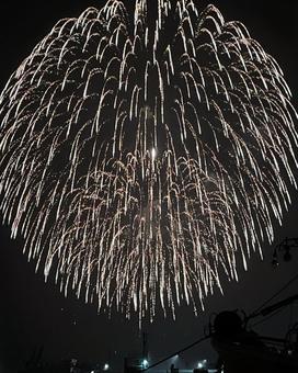 夏の花火 夏の花火の写真