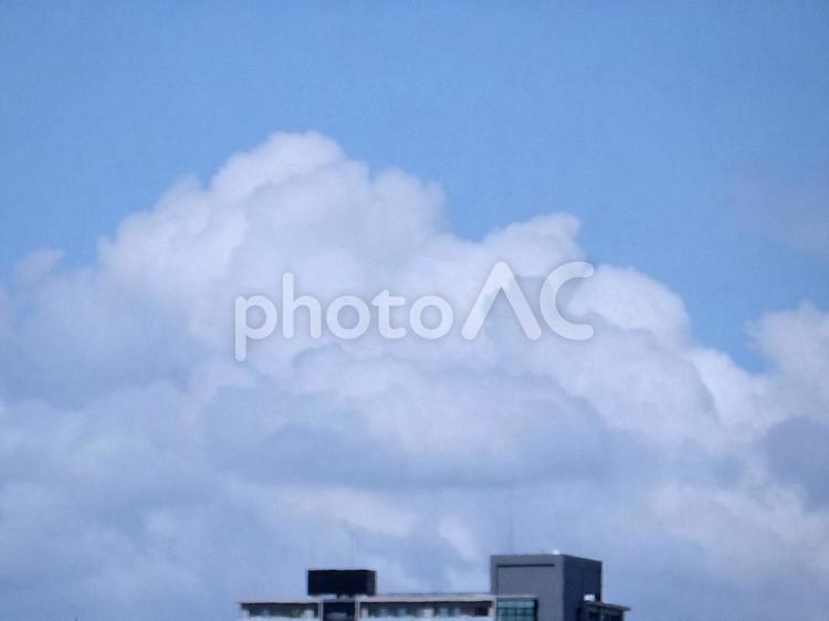 【空の写真】夏空 夏空,空,雲の写真素材