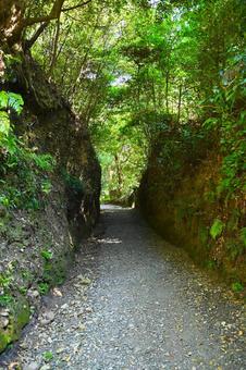 医王山 油山寺参道切通し 医王山 油山寺参道切通しの写真
