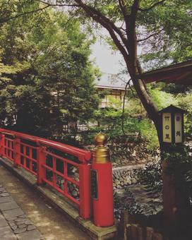 修善寺の桂橋 修善寺の桂橋の写真