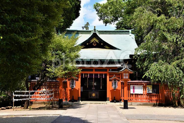 馬橋稲荷神社お社 馬橋稲荷神社,杉並区,拝殿の写真素材
