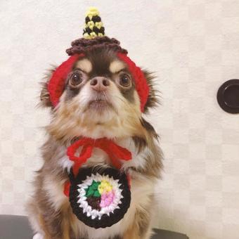 節分だワン 節分だワンの写真