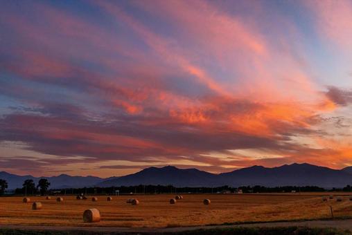 Sunset and wheat field, JPG