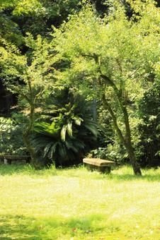 公園のベンチの写真