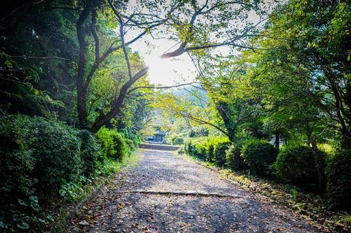 山口県　萩藩主毛利家墓所（東光寺） 萩藩主毛利家墓所,東光寺,萩の写真素材