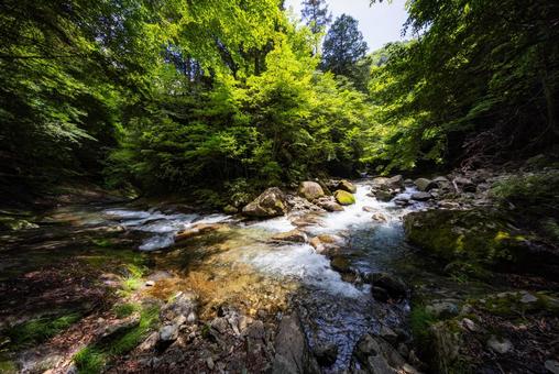 山の風景 山の風景の写真
