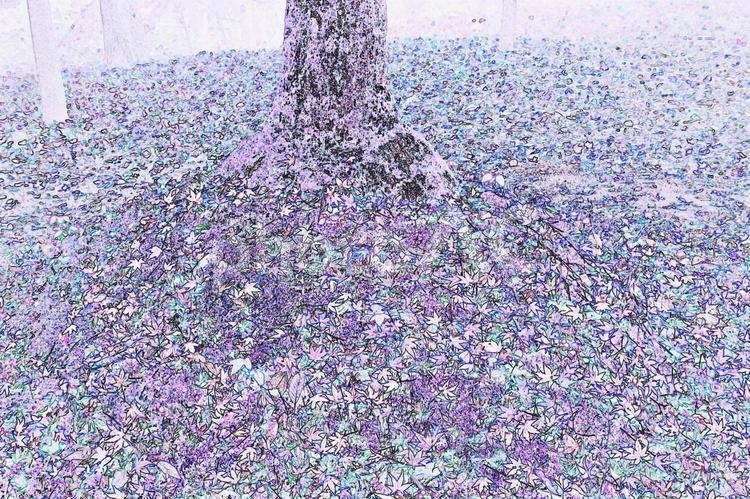 幻想の風景　モミジの幻想 背景素材,背景画像,壁紙の写真素材