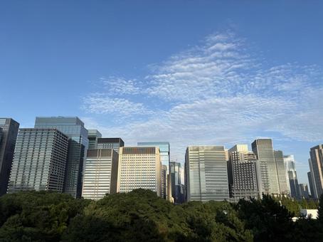 東京のイメージが欲しい時に使う写真 東京のイメージが欲しい時に使う写真の写真