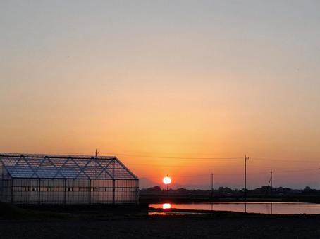 Photo, sunset, landscape, natural, 