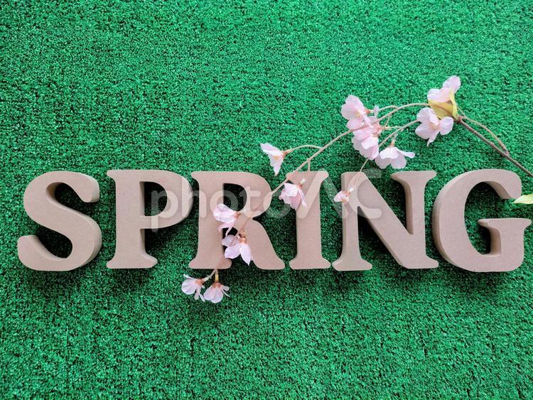 背景素材（Spring）1 テクスチャ,背景素材,春の写真素材