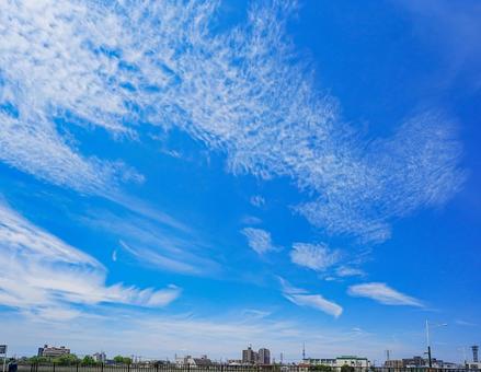 夏空の下のスカイツリーと奥戸の街の写真