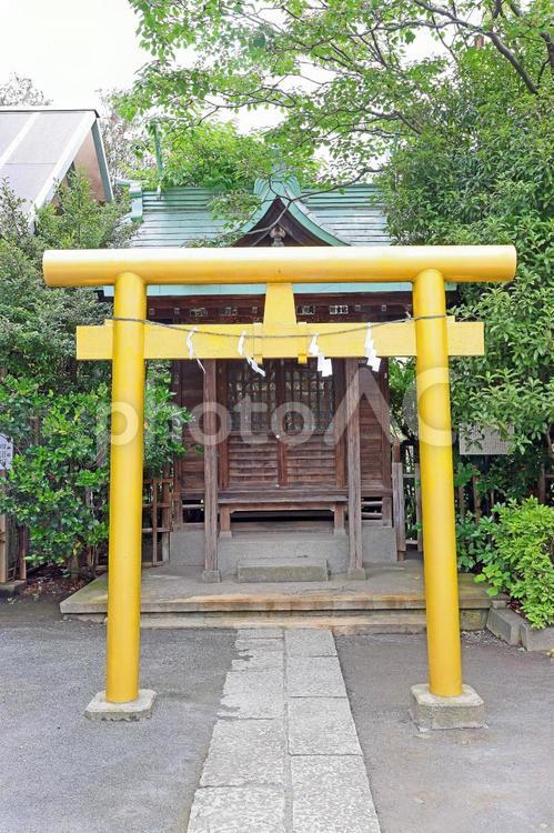 稲毛神社（川崎） 稲毛神社,武甕槌神,経津主神の写真素材