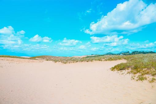 【鳥取】青空と鳥取砂丘の写真