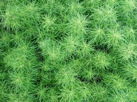 web conference background material green web conference background material green