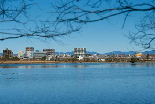 大池の雄大で美しい風景 池,水面,さざ波の写真素材