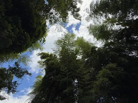 空 空の写真