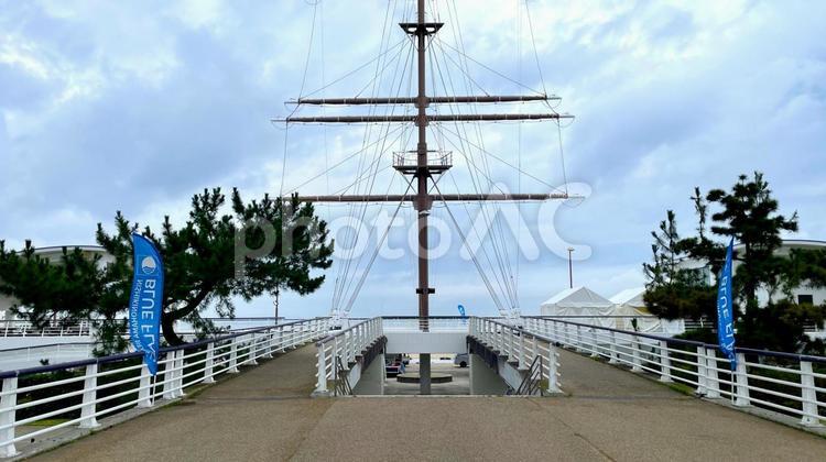 貝塚市　二色の浜公園　ブルーフラッグ 二色の浜,二色の浜公園,ブルーフラッグの写真素材