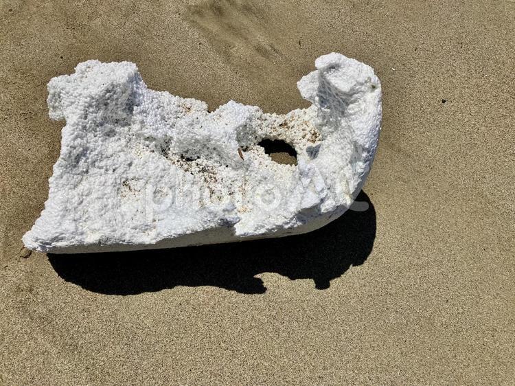 海洋ゴミ/砂浜/発泡スチロール(その④ ゴミ拾い,発泡スチロール,塊りの写真素材