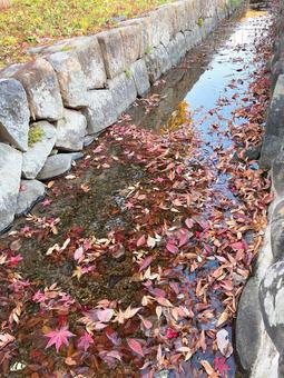 紅く染まる川 紅く染まる川の写真
