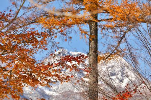 雪　紅葉　妙高山 空,晴天,眺めの写真素材