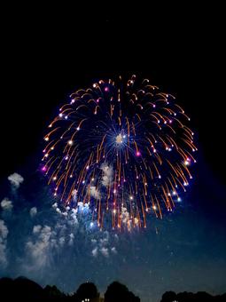 花火1 花火1 花火,祭り,夜の写真素材