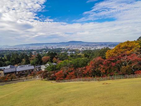 【奈良県】奈良市・若草山からの風景 若草山,奈良,奈良公園の写真素材