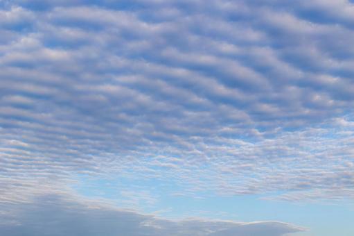秋の空一面に広がる鱗雲 鱗雲,鰯雲,巻積雲の写真素材