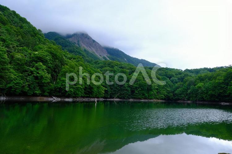 十二湖の風景 白神山地,十二湖,世界遺産の写真素材