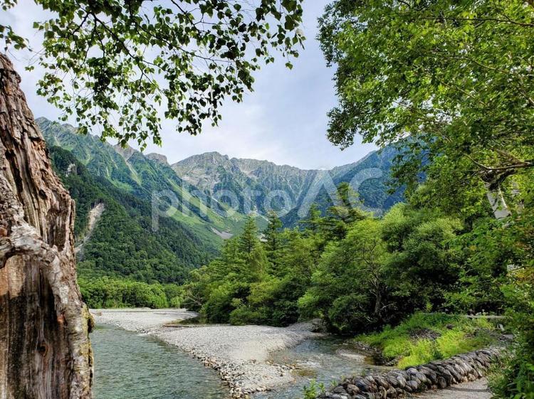 長野県上高地　夏の風景 上高地,長野県,日本の写真素材