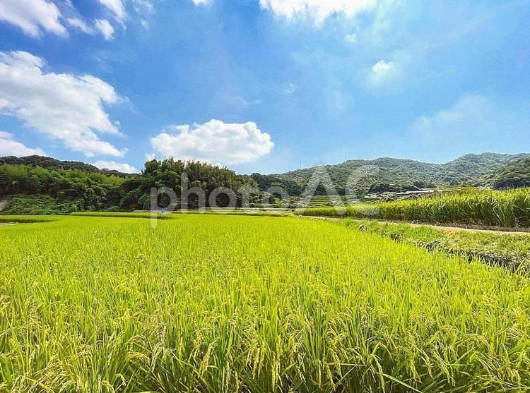 【風景写真】実りの秋 風景,風景写真,秋の写真素材