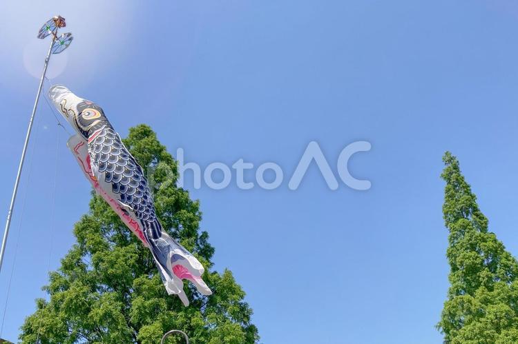 五月五日こどもの日鯉のぼり 鯉のぼり,子供の日,5月5日の写真素材