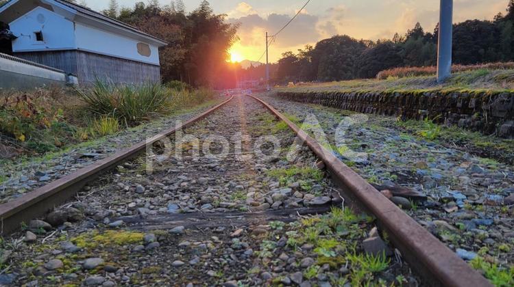 夕陽から伸びる一筋の光 夕陽,一筋,日光の写真素材