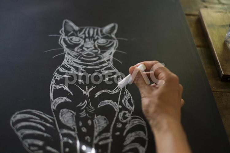 黒板にチョークで猫の絵を描く 黒板,チョーク,猫の絵の写真素材