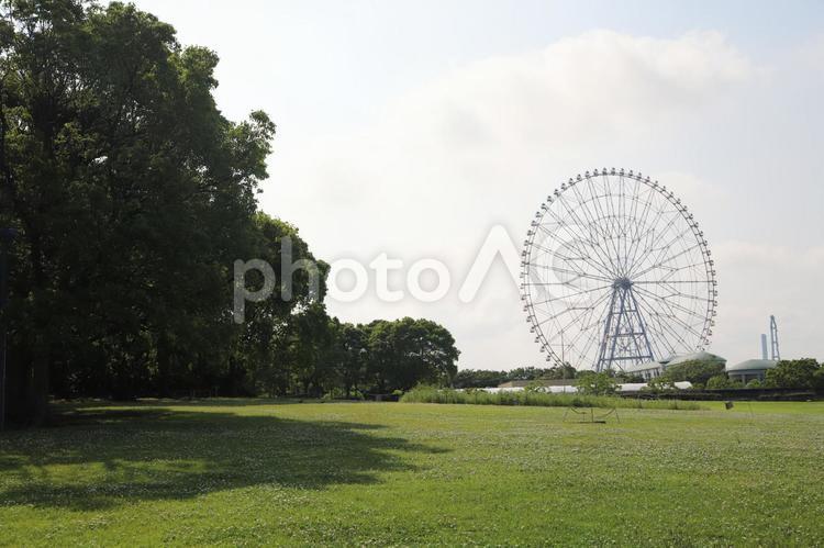 野原 空,テント,夏の写真素材
