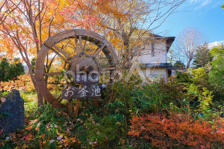 山梨県忍野村 秋の忍野八海、お釜池の看板 忍野村,忍野八海,お釜池の写真素材