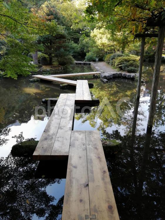 尾山神社　神苑　木の橋 尾山神社,神苑,木の橋の写真素材